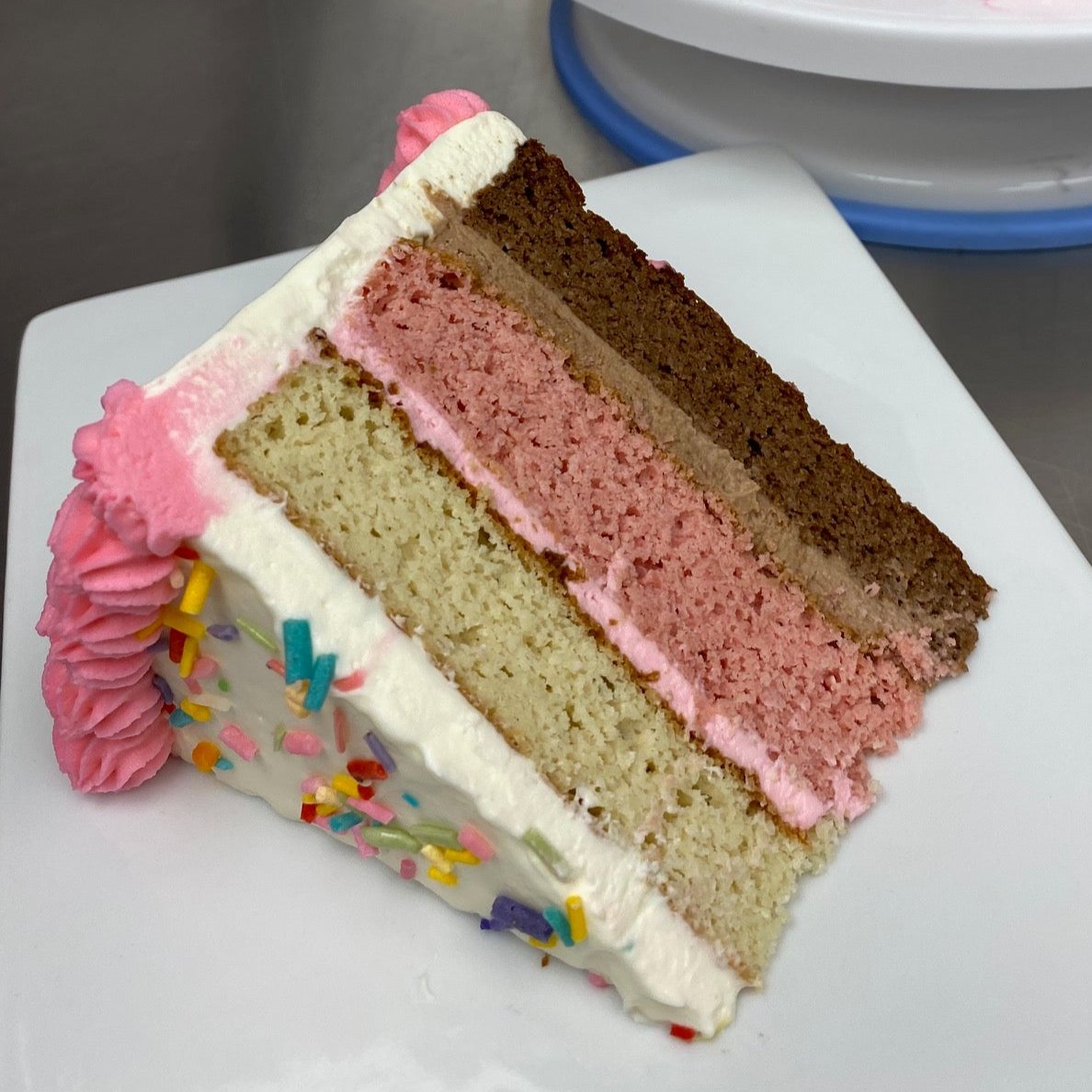 Slice of 3-layer Neapolitan Cake (Gluten-Free & Sugar-Free)